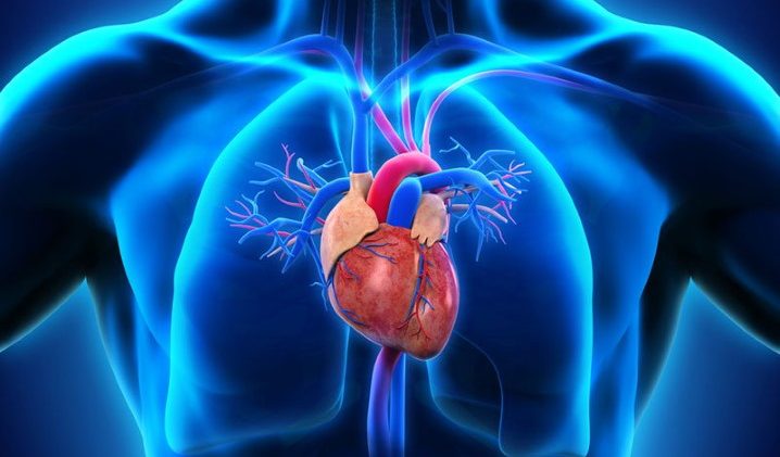 cardiologie-concilio-votre-conciergerie-medicale_718x452