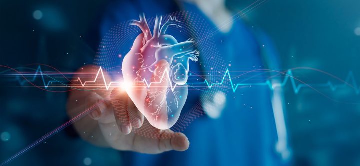 img-cardiovascular-medicine-heart