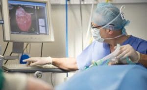 cardiology-treatment-300x200