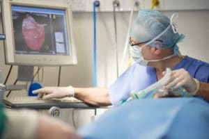 cardiology-treatment-300x200 cardiology-treatment-300x200